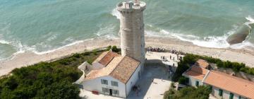 Cabañas en Saint-Clément-des-Baleines