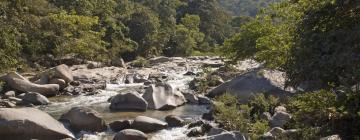 Alquileres vacacionales en Quemaro