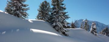 Ski Resorts in Hopfgarten in Defereggen