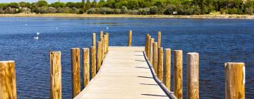 Alquileres vacacionales en la playa en Plage de La Franqui