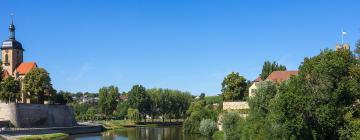 Hoteles con estacionamiento en Lauffen am Neckar