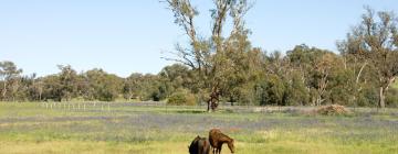 Hoteli sa parkingom u gradu Terrey Hills