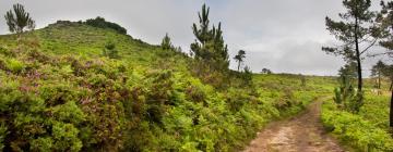 Hotéis-fazenda em A Estrada