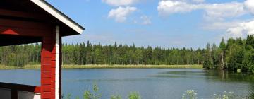 Отели с парковкой в городе Викаярви