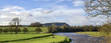 Hoteles que admiten mascotas en Longridge