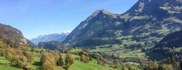 Hotéis em Erlenbach im Simmental