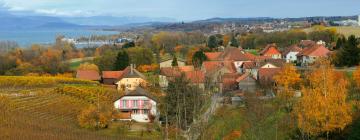 Hotels mit Parkplatz in Cousset 