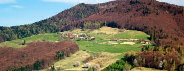 Cottages in Tylicz