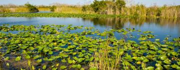 Hoteles con parking en Everglades