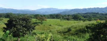 Bed and Breakfasts en Las Lajas