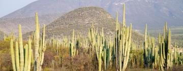 Hoteles en Tehuacán