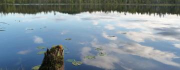 Parkolóval rendelkező hotelek Haradsban