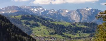 Apartments in Zweisimmen