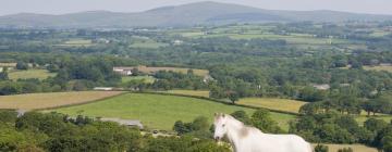 Pet-Friendly Hotels in Narberth