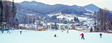 Cabins in Migovo