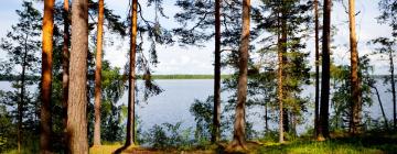 Cottages in Punkaharju