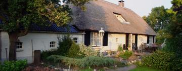 Rumah Kecil di Vierhouten