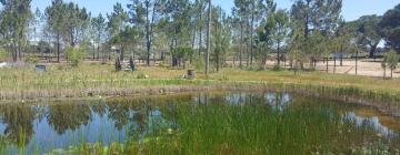 Cabañas y casas de campo en Quinta da Cascalheirinha