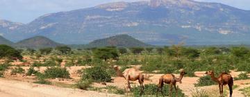 Hotéis em Isiolo