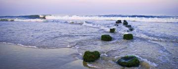 Hoteles de playa en Belmar