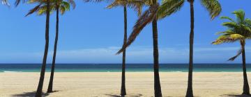 Vacation Rentals in Palm Beach Shores