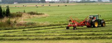 Ferienwohnungen in Nieuwvliet