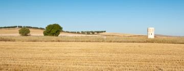 Apartments in Villarrobledo