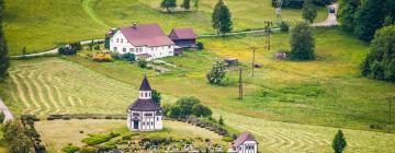 Hoteluri în Kořenov