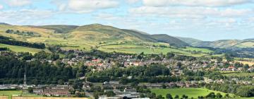 Pet-Friendly Hotels in Wooler