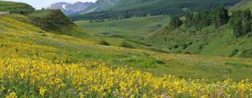 Vacation Rentals in Crested Butte
