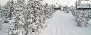 Ski Resorts in Vartop