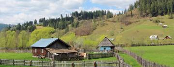 Maisons d'Hôtes à Vatra Moldoviţei