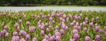 Edullisia lomia kohteessa Velletri