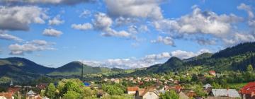 Guest Houses in Câmpulung