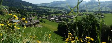 Hotels in Schwarzenberg im Bregenzerwald