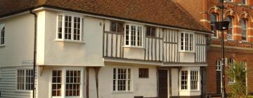 Pet-Friendly Hotels in Faversham