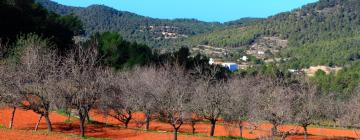 Hoteles con piscina en Sant Jordi