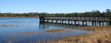 Hoteles que admiten mascotas en DeFuniak Springs