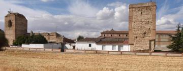 Pet-Friendly Hotels in Madrigal de las Altas Torres