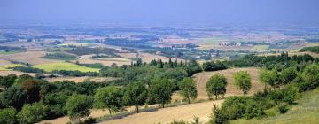 Hotéis em Avignonet-de-Lauragais