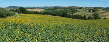 Hotele przyjazne zwierzętom w mieście Spigno Monferrato