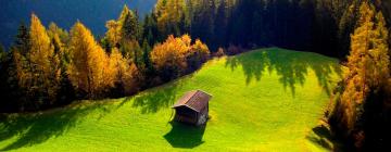 Apartments in Wald am Arlberg