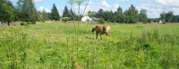 Hotel dengan parkir di Białowieża