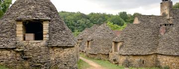 Ferieboliger i Saint-Geniès