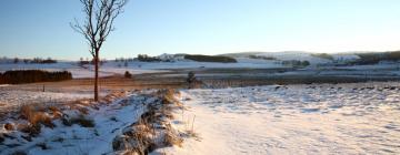 Cottages in Salzuit