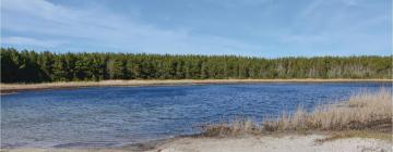 Cabañas y casas de campo en Vedersø Klit