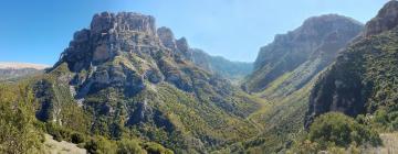 Hotels met Parkeren in Vikos