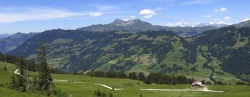 Parkimisega hotellid sihtkohas Kirchberg