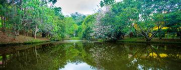 Parkolóval rendelkező hotelek Arujában