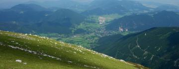 Hotels in Puchberg am Schneeberg